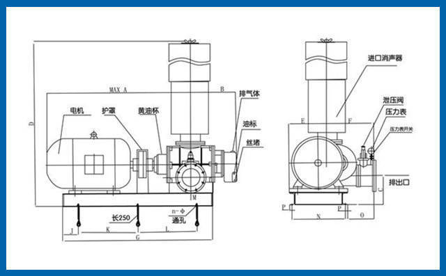 氣力輸送羅茨風(fēng)機(jī)結(jié)構(gòu)圖